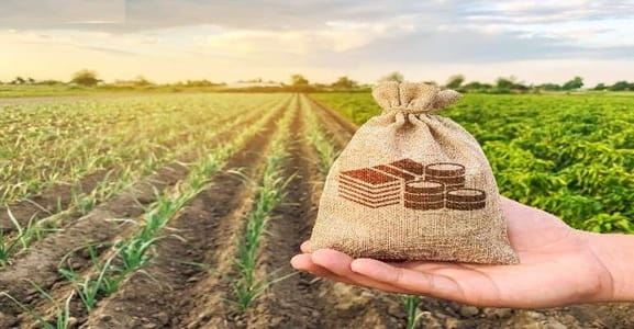 How to Get a Loan for Organic Farming Startups