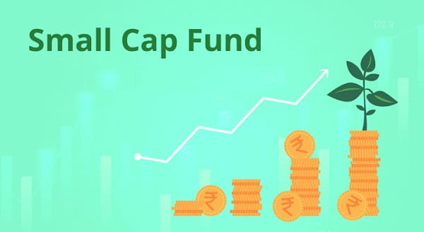 Small Cap Funds