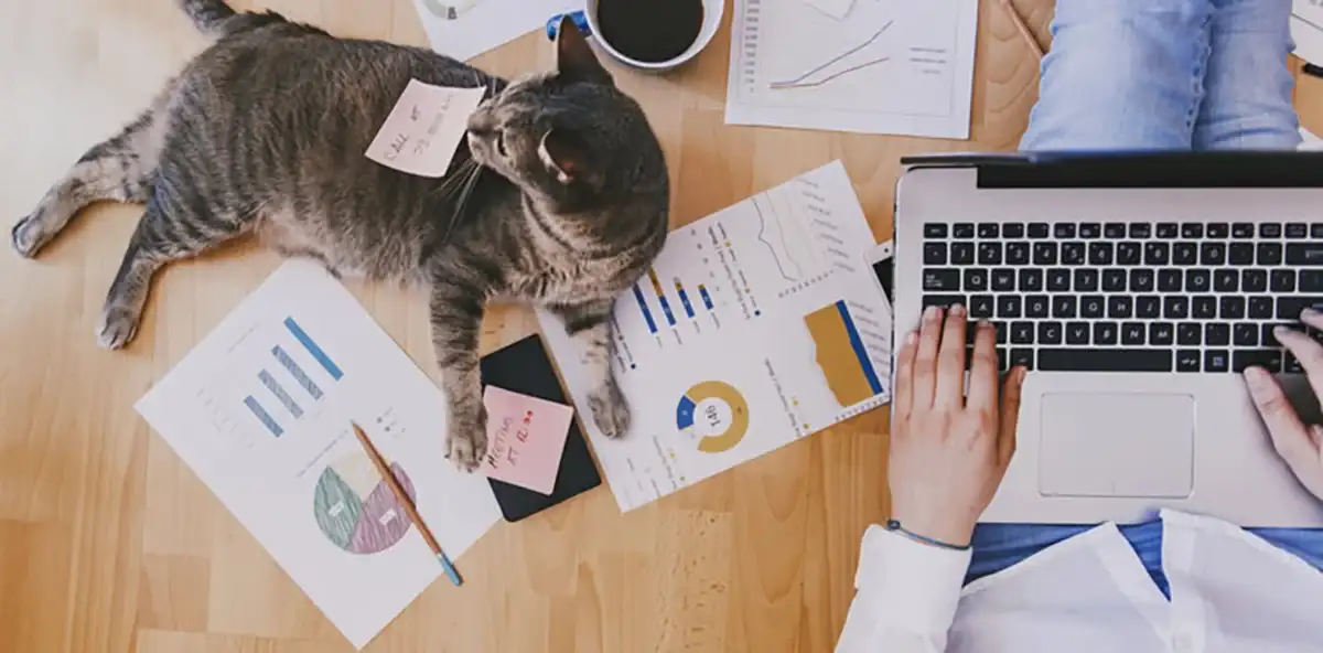 How to Insure Your Startup’s Office Equipment and Laptops
