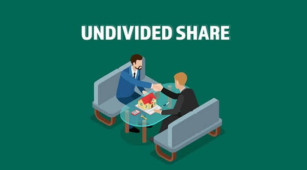 The Guide to Undivided Share of Land (UDS): How It Affects Property Value