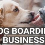 Is a Dog Boarding Business Legal in India