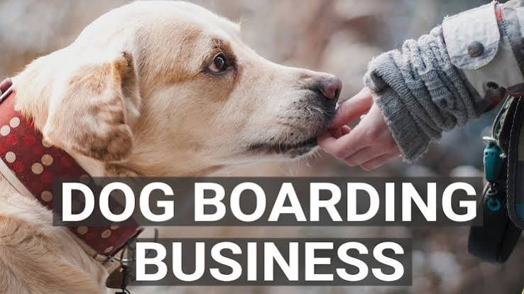 Is a Dog Boarding Business Legal in India